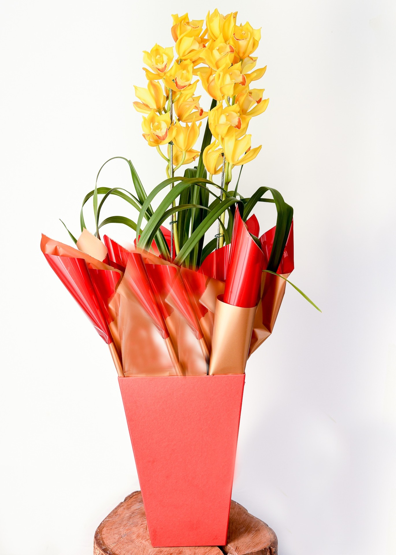 Orquídea Solar Amarela — presente Dia dos Namorados, cesta romântica, flores para presente