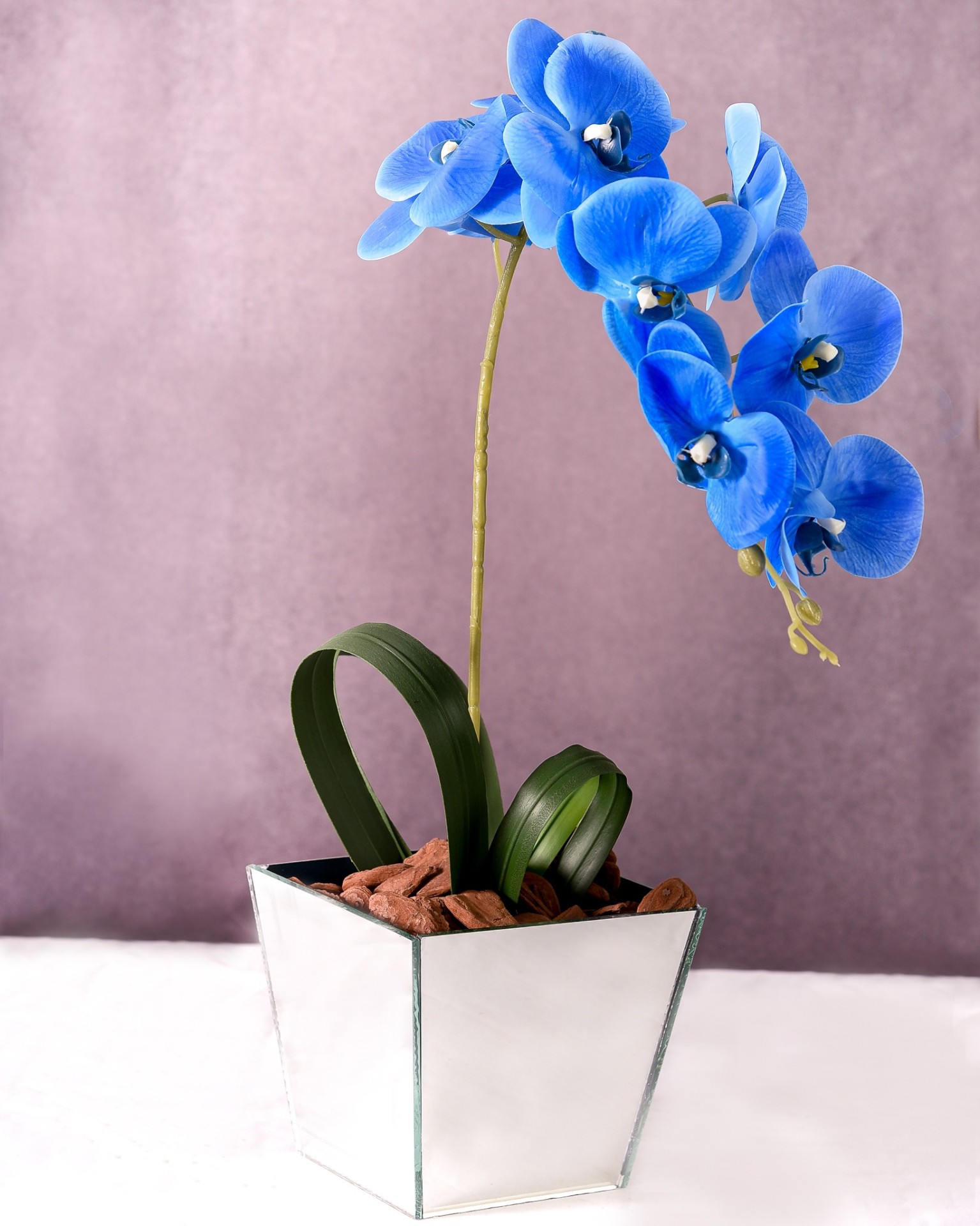 Orquídea Azul Premium — presente Dia dos Namorados, cesta romântica, flores para presente